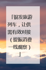 银发旅游列车，让供需有效对接（提振消费一线观察）
