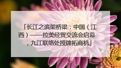 长江之滨架桥梁：中国（江西）——拉美经贸交流会启幕，九江联络处授牌拓商机