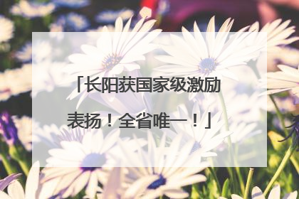 长阳获国家级激励表扬！全省唯一！