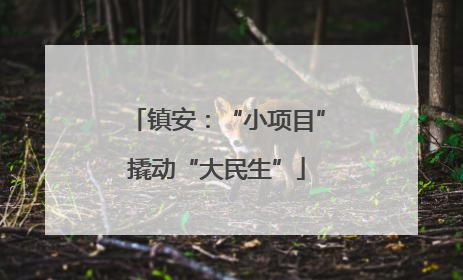 镇安：“小项目”撬动“大民生”