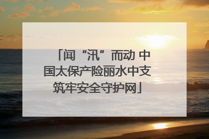 闻“汛”而动 中国太保产险丽水中支筑牢安全守护网