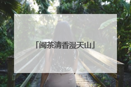 闽茶清香漫天山