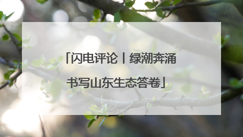 闪电评论丨绿潮奔涌 书写山东生态答卷