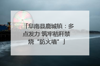 阜南县鹿城镇：多点发力 筑牢秸秆禁烧“防火墙”
