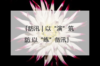 防汛｜以“演”筑防 以“练”备汛