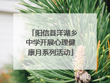 阳信县洋湖乡中学开展心理健康月系列活动
