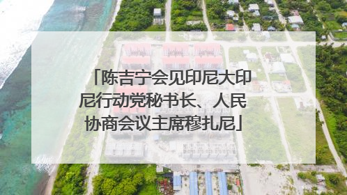 陈吉宁会见印尼大印尼行动党秘书长、人民协商会议主席穆扎尼