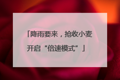 降雨要来，抢收小麦开启“倍速模式”