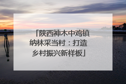 陕西神木中鸡镇纳林采当村：打造乡村振兴新样板