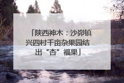 陕西神木：沙峁镇兴四村千亩杂果园结出“杏”福果