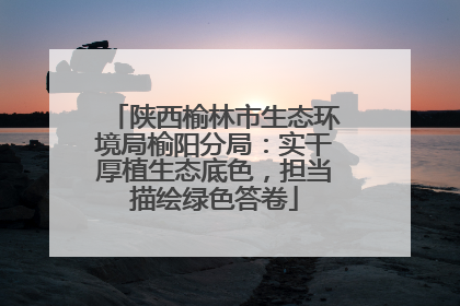 陕西榆林市生态环境局榆阳分局：实干厚植生态底色，担当描绘绿色答卷