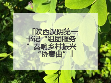 陕西汉阴第一书记“组团服务”奏响乡村振兴“协奏曲”
