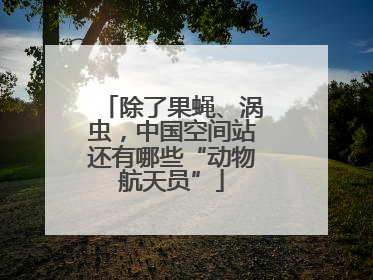 除了果蝇、涡虫，中国空间站还有哪些“动物航天员”