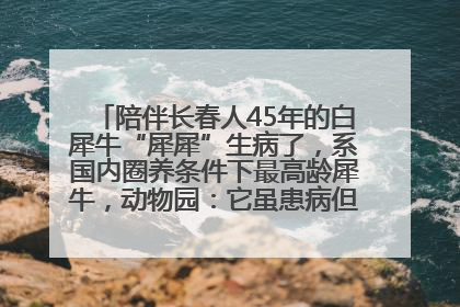 陪伴长春人45年的白犀牛“犀犀”生病了，系国内圈养条件下最高龄犀牛，动物园：它虽患病但未处于弥留之际