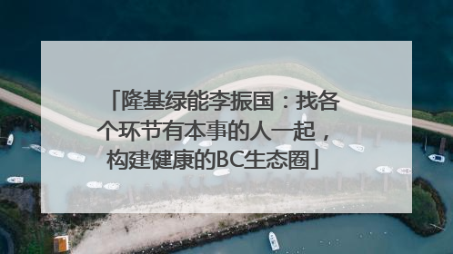 隆基绿能李振国：找各个环节有本事的人一起，构建健康的BC生态圈