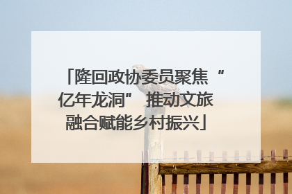 隆回政协委员聚焦“亿年龙洞” 推动文旅融合赋能乡村振兴