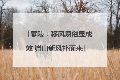 零陵：移风易俗显成效 岿山新风扑面来