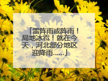 雷阵雨或阵雨！局地冰雹！就在今天，河北部分地区迎降雨……