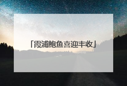 霞浦鲍鱼喜迎丰收