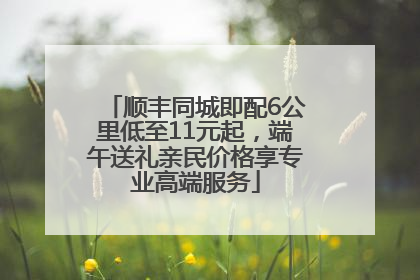 顺丰同城即配6公里低至11元起，端午送礼亲民价格享专业高端服务