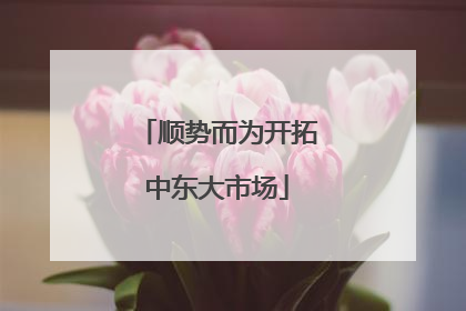 顺势而为开拓中东大市场