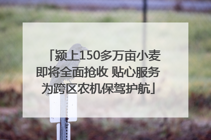 颍上150多万亩小麦即将全面抢收 贴心服务为跨区农机保驾护航
