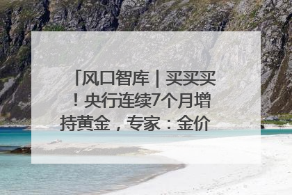 风口智库｜买买买！央行连续7个月增持黄金，专家：金价或仍易涨难跌