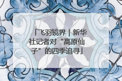 飞羽镜界｜新华社记者对“高原仙子”的四季追寻