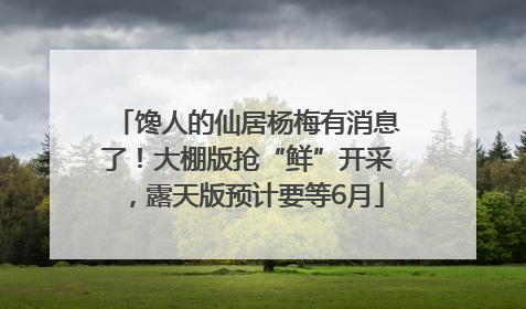 馋人的仙居杨梅有消息了！大棚版抢“鲜”开采，露天版预计要等6月