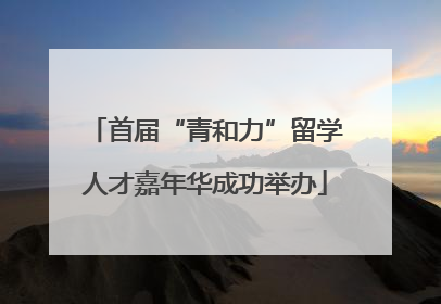 首届“青和力”留学人才嘉年华成功举办