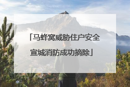 马蜂窝威胁住户安全 宣城消防成功摘除