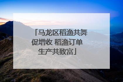 马龙区稻渔共舞促增收 稻渔订单生产共致富
