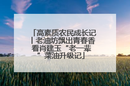 高素质农民成长记丨老油坊飘出青春香 看肖建玉“老一辈”菜油升级记