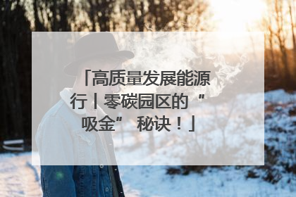 高质量发展能源行丨零碳园区的“吸金” 秘诀！