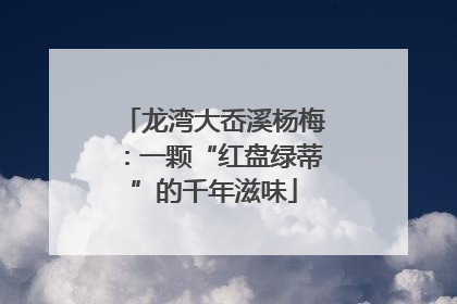 龙湾大岙溪杨梅：一颗“红盘绿蒂”的千年滋味