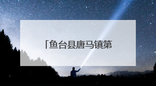 鱼台县唐马镇第一书记工作队助力“三夏生产”