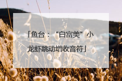 鱼台：“白富美”小龙虾跳动增收音符