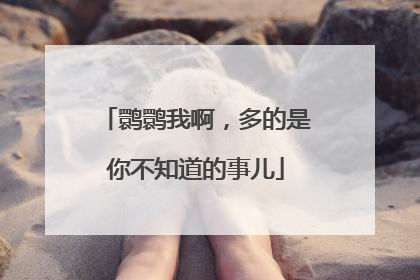 鹮鹮我啊，多的是你不知道的事儿