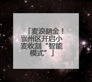 麦浪翻金！襄州区开启小麦收割“智能模式”