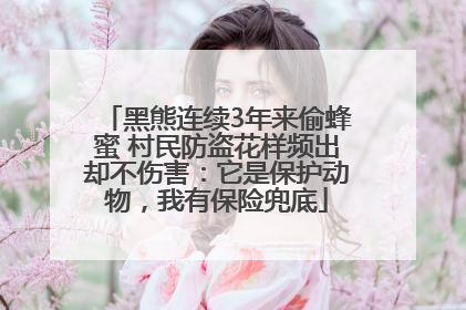 黑熊连续3年来偷蜂蜜 村民防盗花样频出却不伤害：它是保护动物，我有保险兜底