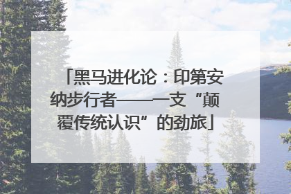 黑马进化论：印第安纳步行者——一支“颠覆传统认识”的劲旅