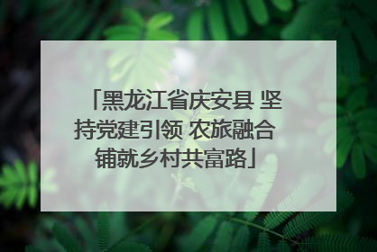 黑龙江省庆安县 坚持党建引领 农旅融合铺就乡村共富路