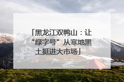 黑龙江双鸭山：让“绿字号”从寒地黑土挺进大市场