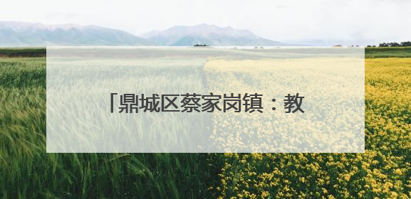 鼎城区蔡家岗镇：教育资源整合试点激活乡村教育“一池春水”
