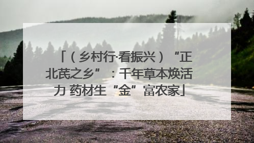 （乡村行·看振兴）“正北芪之乡”：千年草本焕活力 药材生“金”富农家