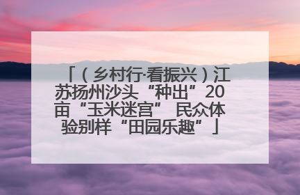 （乡村行·看振兴）江苏扬州沙头“种出”20亩“玉米迷宫” 民众体验别样“田园乐趣”