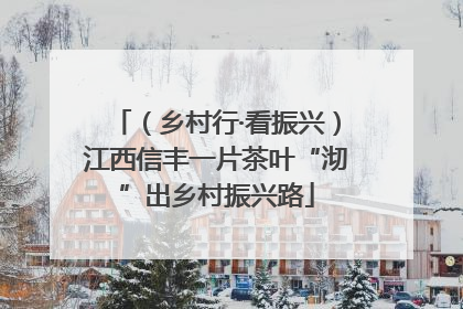 （乡村行·看振兴）江西信丰一片茶叶“沏”出乡村振兴路