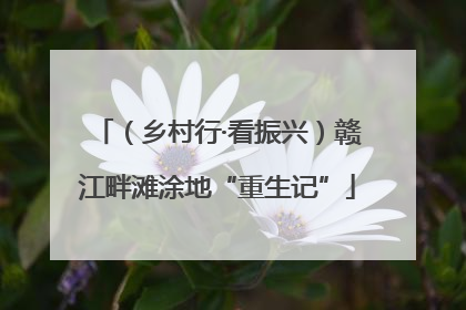 （乡村行·看振兴）赣江畔滩涂地“重生记”