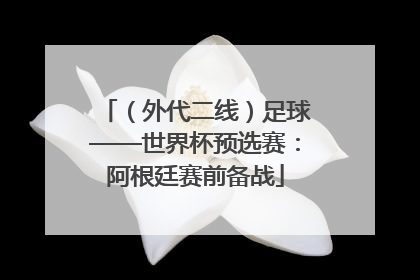 （外代二线）足球——世界杯预选赛：阿根廷赛前备战