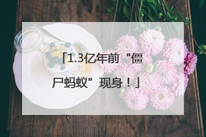 1.3亿年前“僵尸蚂蚁”现身！